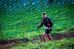 BIB: 
                            <button type="button" onclick="openModal(19160031)" class="btn btn-primary btn-sm float-right btn-popup" data-toggle="modal" data-target=".modal-high-quality">
                        <i class="fas fa-shopping-cart"></i> Add to Cart
                    </button>
                                            <button type="button" onclick="isThisMe(19160031, true)" class="btn btn-success btn-sm float-right btn-popup btn-isme hidden" data-toggle="tooltip" data-placement="bottom" title="นี่คือรูปของคุณใช่ไหม คลิกที่นี่เพื่อเอาเข้าอัลบั้ม">
                        <i class="fas fa-plus"></i> Add to album
                    </button>
                    <button type="button" onclick="isThisMe(19160031, false)" class="btn btn-warning btn-sm float-right btn-popup btn-isnotme hidden">
                        <i class="fas fa-ban"></i> Remove from album
                    </button>